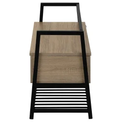 Banc - étagère à chaussures, rangement à rabat - 42