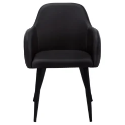Chaises avec accoudoirs (bte de 2) - noir - Monarch