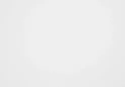 Chaises (bte de 2) - blanc - Monarch