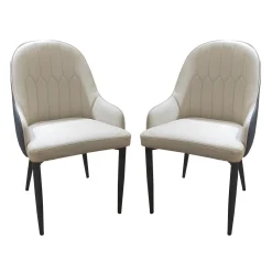Chaises rembourrées (bte de 2) - beige et bleu-gris