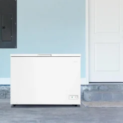 DANBY Congélateur 10 pi3, Blanc, Horizontal, 44