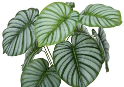 Plante artificielle - 24