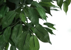 Plante artificielle - 58