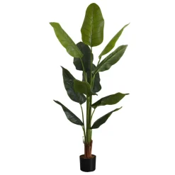 Plante artificielle - 59"H, strelitzia intérieur pot 5"