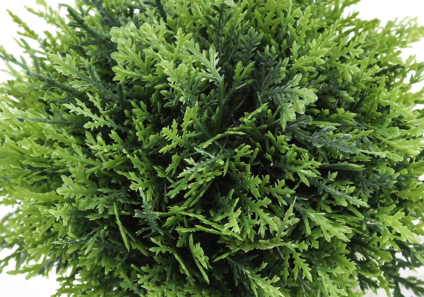 Plante artificielle - 3mcx, 5"H gazon pot gris 3"