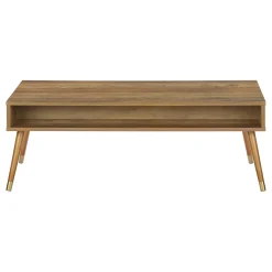 Table à café rectangulaire avec rangement - Monarch