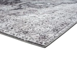 Tapis 6 X 9 pi