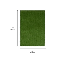Tapis extérieur de faux gazon vert - 4 x 6