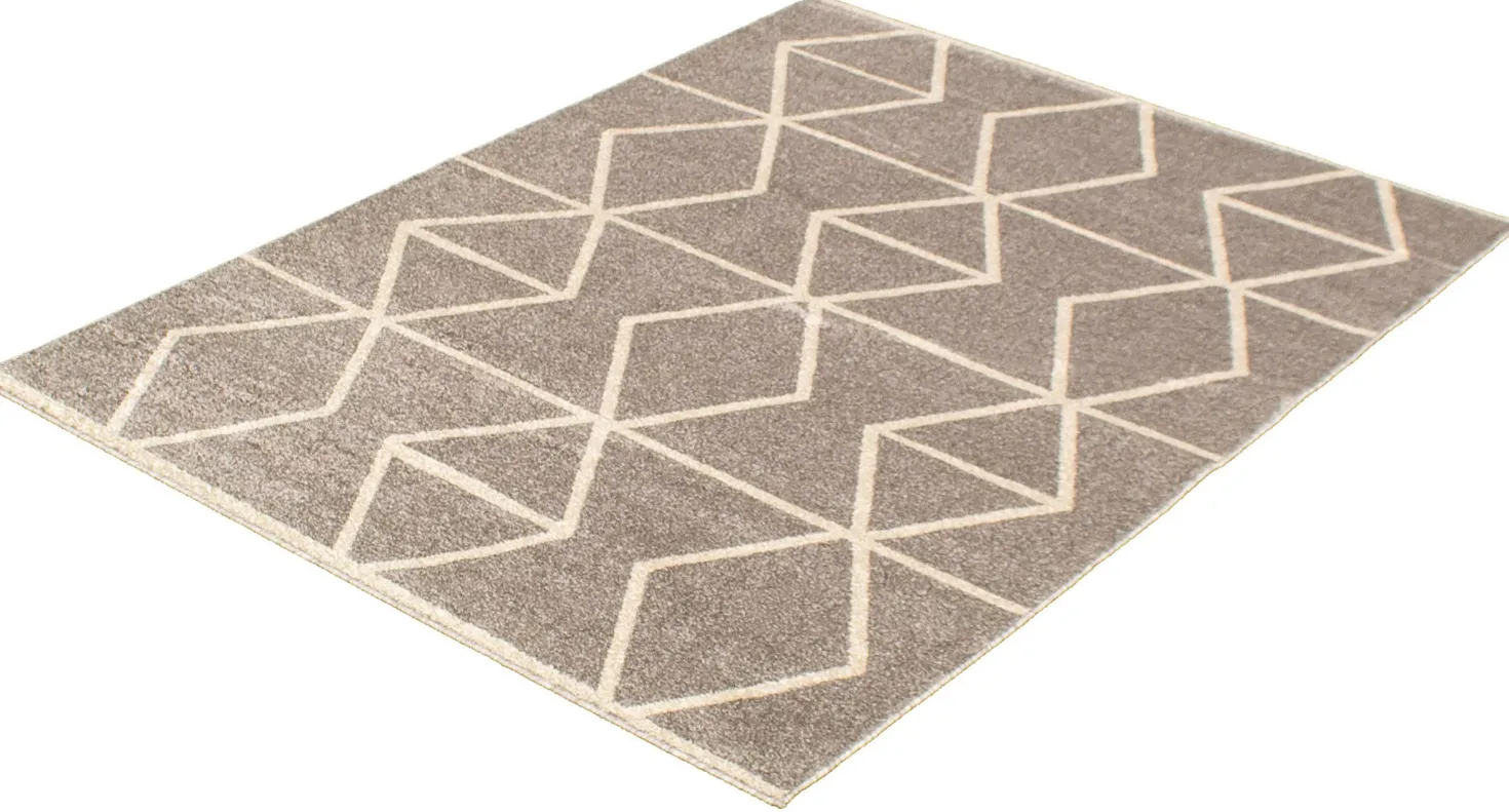 Tapis intérieur - 4 x 6