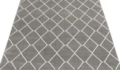 Tapis intérieur - 7 x 10