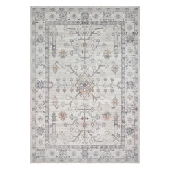 Tapis intérieur lavable à la machine - 5 x 7